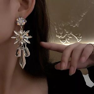 🌟 Long Crystals Earrings